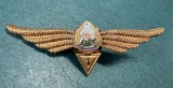 Insigna Navigator Aerian Cl 1 aviatie militara 1966 1977 RSR