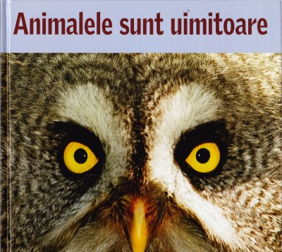 AS - ANIMALELE SUNT UIMITOARE foto