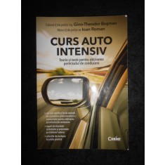 Gino Theodor Bosman, Ioan Roman - Curs auto intensiv