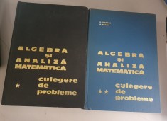 Algebra si analiza matematica.Culegere de probleme- D.Flondor,N.Donciu-2 vol.