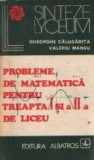 Probleme de matematica pentru treapta I si a-II-a de liceu, Volumul I