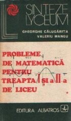 Probleme de matematica pentru treapta I si a-II-a de liceu, Volumul I