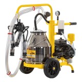 Aparat de Muls Vaci AgroElectro, 1 Bidon Inox 25L, Portabil, Pompa Vid 200L/min, Pulsator 60/40, Fara Rezervor Vid, Eco