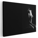 Tablou canvas nud femeie in intuneric alb, negru 1230 Tablou canvas pe panza CU RAMA 80x120 cm