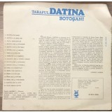 Vinil 4.1 Vinyl Electrecord , Taraful Datina Botosani