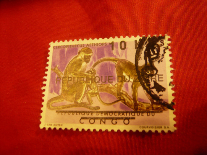 Timbru Congo Zair 1978 - Maimute cu supratipar R.Du Zair ,10C , stampilat