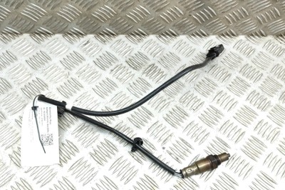 Sonda lambda AUDI A5 Sportback F5A 2017 OEM: 8W0906265M | 23664694 foto