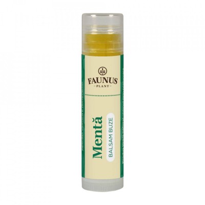 Balsam buze menta 5ml foto