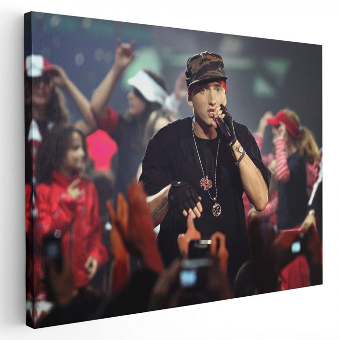 Tablou afis Eminem cantaret 2283 Tablou canvas pe panza CU RAMA 60x90 cm