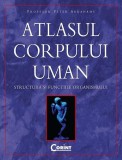 Atlasul corpului uman - Paperback brosat - Peter Abrahams - Corint