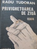 Privighetoarea de ziua - Radu Tudoran