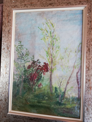 Peisaj in lunca de Constantin Isachie Popescu,ulei/carton,35x50 cm,semnat dr.jos foto