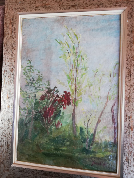 Peisaj in lunca de Constantin Isachie Popescu,ulei/carton,35x50 cm,semnat dr.jos