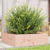 VidaXL Jardinieră de grădină, 80x80x23 cm, lemn masiv Douglas 847201