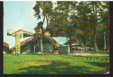 CPIB 22234 - CARTE POSTALA - BISTRITA, GRADINA RESTAURANT CODRISOR