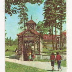 F2 - Carte Postala - Borsec, izvorul Horia , circulata 1963