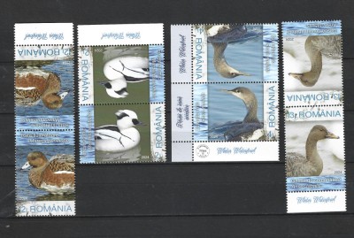 ROMANIA 2024 - PASARI DE IARNA ACVATICE, TETE BECHE DIN COALA, MNH - LP 2447 foto