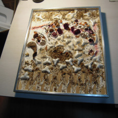 Tablou: Arina Gherghita - File din cartea naturii, pagina 1, cu dim. 42.5x53 cm.