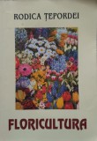 Floricultura - Rodica Tepordei , E548