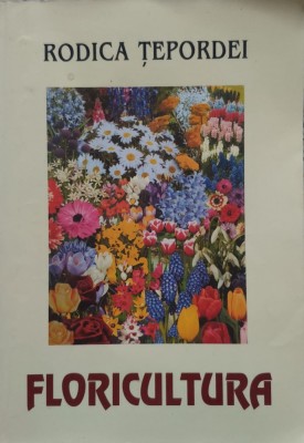 Floricultura - Rodica Tepordei , E548 foto