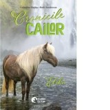 Cronicile cailor. Elska - Catherine Hapka, Diana Trancuta, Ruth Sanderson