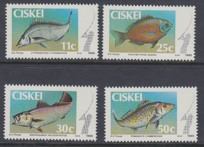 CISKEI 1985 PESTI