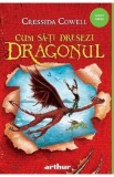 Cum sa-ti dresezi dragonul. Seria Cum sa-ti dresezi dragonul Vol.1 - Cressida Cowell