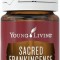 Ulei Esential de Tamaie Sacra (Ulei Esential Sacred Frankincense) 5 ML