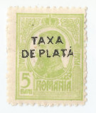 Romania, LP IV.11/1918, Carol I Tipografiate cu supratipar TAXA DE PLATA, MNH, Nestampilat