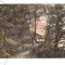 CP Brasov - Grota Bethlen, circulata 1918, stare buna