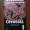 Alice Broadway - Carti scrise pe piele, volumul 1. Cerneala