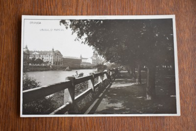 CP Oradea Crisul si Parcul foto