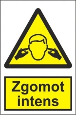 Indicator Zgomot intens - Semn Protectia Muncii foto