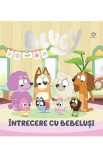 Bluey - intrecere cu bebelusi, Bookzone