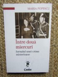 Intre doua miercuri. Jurnalul unei crime misterioase - Popescu Maria