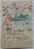 Carte postala, Lac cu lebede, 1901