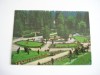 QW23 B - Carte postala - tematica turism - vedere - Romania - Borsec 8, Necirculata, Fotografie