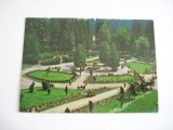 QW23 B - Carte postala - tematica turism - vedere - Romania - Borsec 8, Necirculata, Fotografie