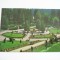 QW23 B - Carte postala - tematica turism - vedere - Romania - Borsec 8