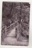bnk cp Marea Britanie - Colwyn Bay - Rustic Bridge - Pwllycrochan Woods - circulata 1912