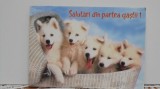 ROM - CATEI - SALUTARI DIN PARTEA GASTII ! - SCRISA - COLECTIA PENTRU TINE.
