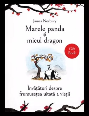 Marele panda si micul dragon foto