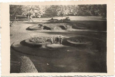 D561 Fotografie ofiteri romani parc Cernauti anii 1940 foto
