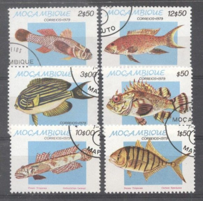 Mozambique 1979 Fishes, used E.017 foto