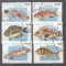 Mozambique 1979 Fishes, used E.017