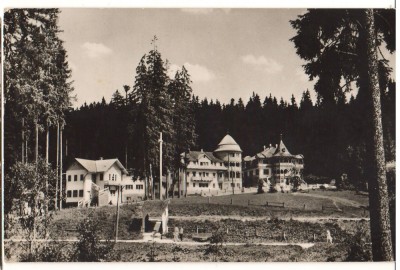 CPIB 22737 - CARTE POSTALA - BORSEC. VEDERE DIN STATIUNE foto