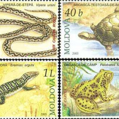 MOLDOVA 2005, Fauna, MNH, serie neuzata