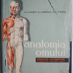 Anatomia omului. Aparatul locomotor. Nomenclatura anatomiei omului – Z. Iagnov