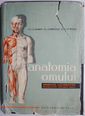 Anatomia omului. Aparatul locomotor. Nomenclatura anatomiei omului &amp;ndash; Z. Iagnov foto