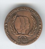 Anul International al Tineretului - Oarticipare - Dezvoltare - PACE, insigna veche din anul 1985, propaganda comunista era Ceausescu
